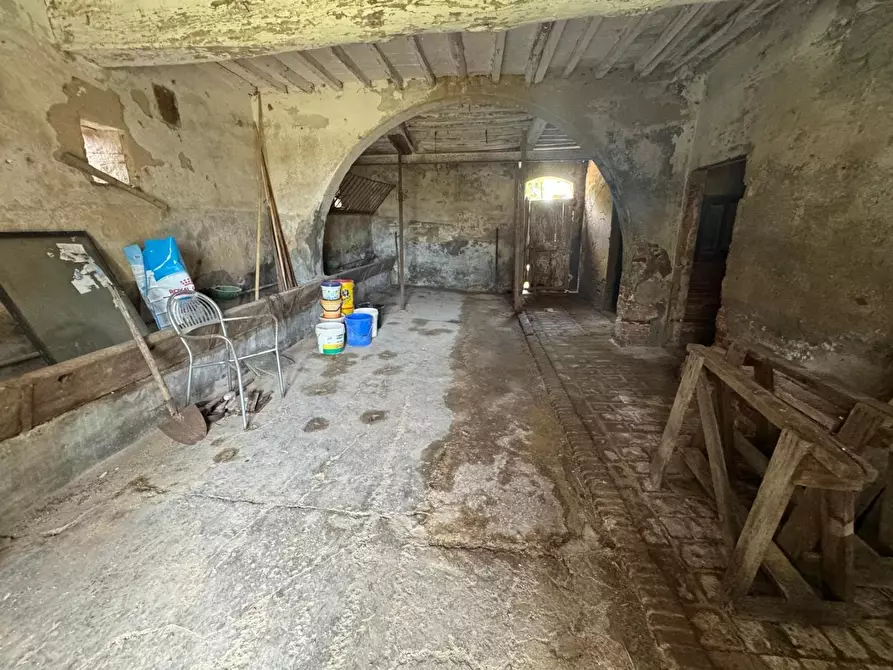 Immagine 18 di Rustico / casale in vendita  a Fauglia