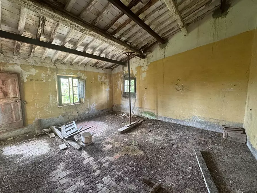Immagine 25 di Rustico / casale in vendita  a Fauglia
