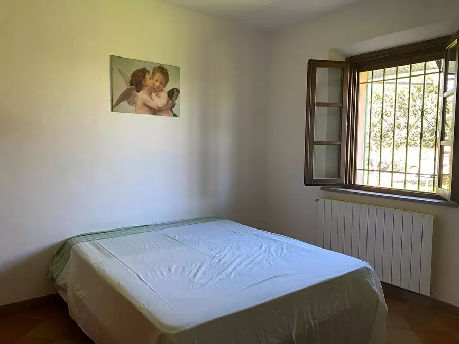 Immagine 15 di Casa indipendente in vendita  a Castagneto Carducci