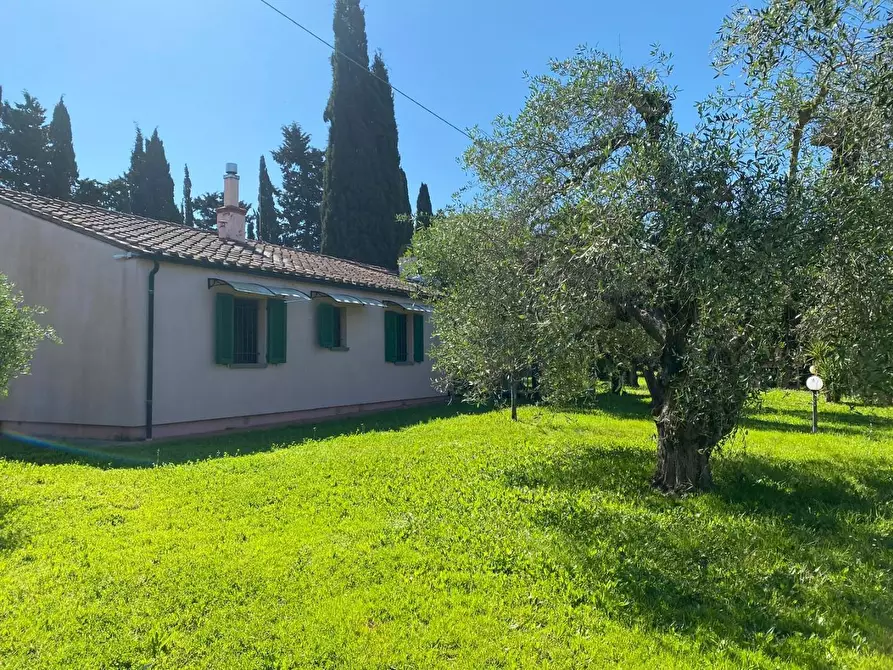 Immagine 27 di Casa indipendente in vendita  a Castagneto Carducci