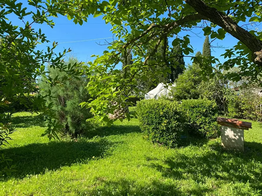 Immagine 30 di Casa indipendente in vendita  a Castagneto Carducci
