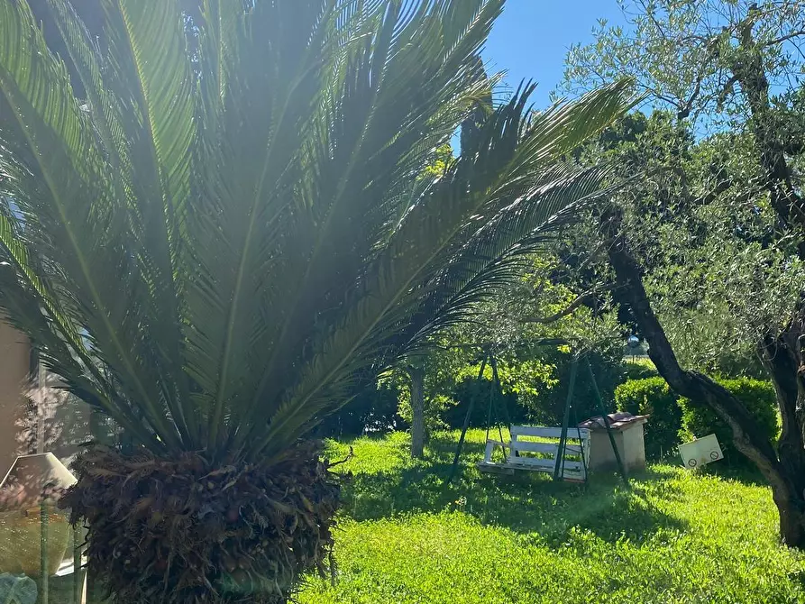 Immagine 28 di Casa indipendente in vendita  a Castagneto Carducci