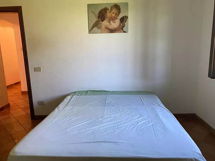 Immagine 18 di Casa indipendente in vendita  a Castagneto Carducci