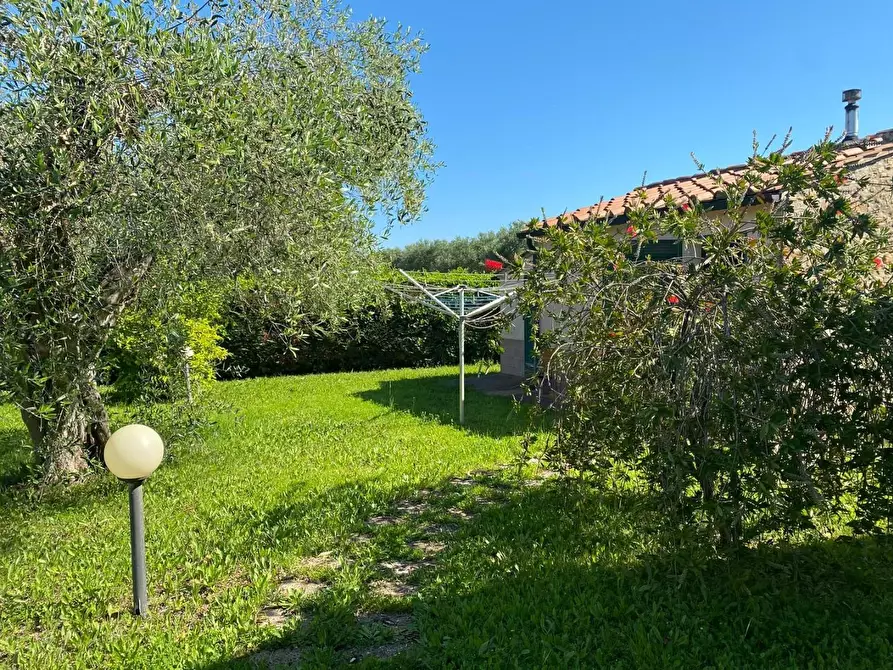 Immagine 31 di Casa indipendente in vendita  a Castagneto Carducci