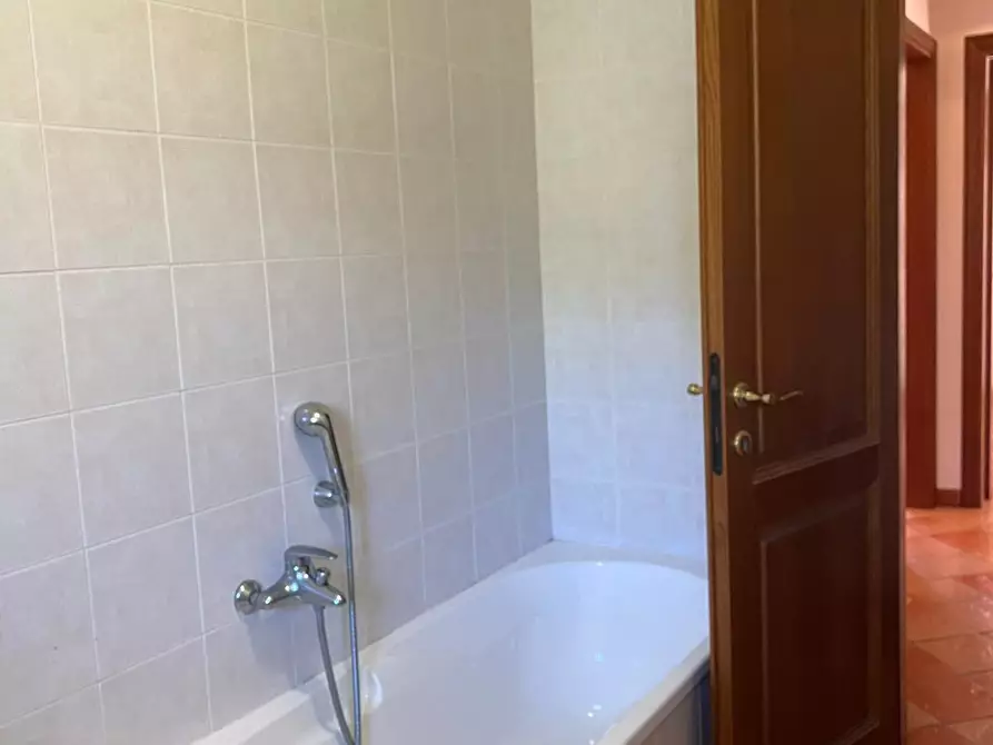 Immagine 25 di Casa indipendente in vendita  a Castagneto Carducci