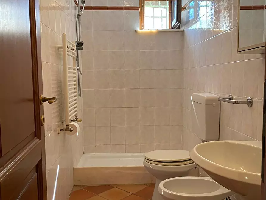 Immagine 21 di Casa indipendente in vendita  a Castagneto Carducci