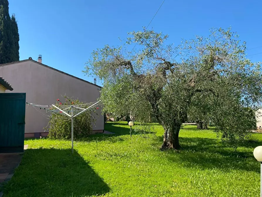 Immagine 29 di Casa indipendente in vendita  a Castagneto Carducci