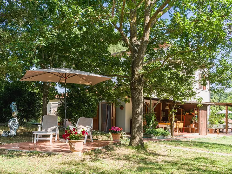 Immagine 3 di Porzione di casa in vendita  a Fauglia