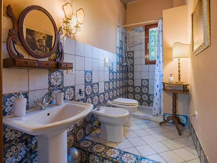 Immagine 18 di Porzione di casa in vendita  a Fauglia