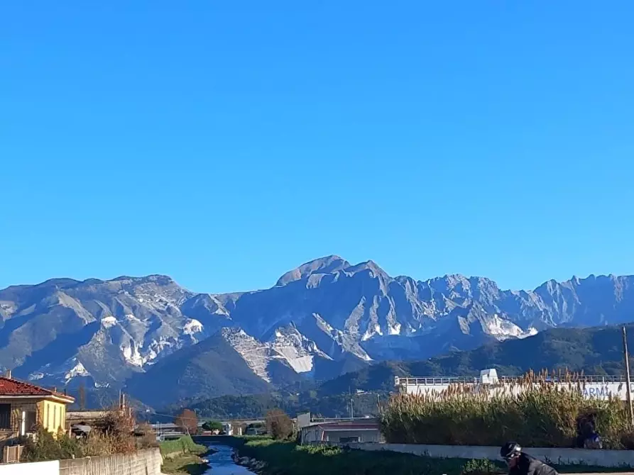 Immagine 3 di Terreno agricolo in vendita  a Carrara