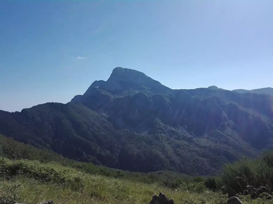 Immagine 12 di Terreno agricolo in vendita  a Carrara