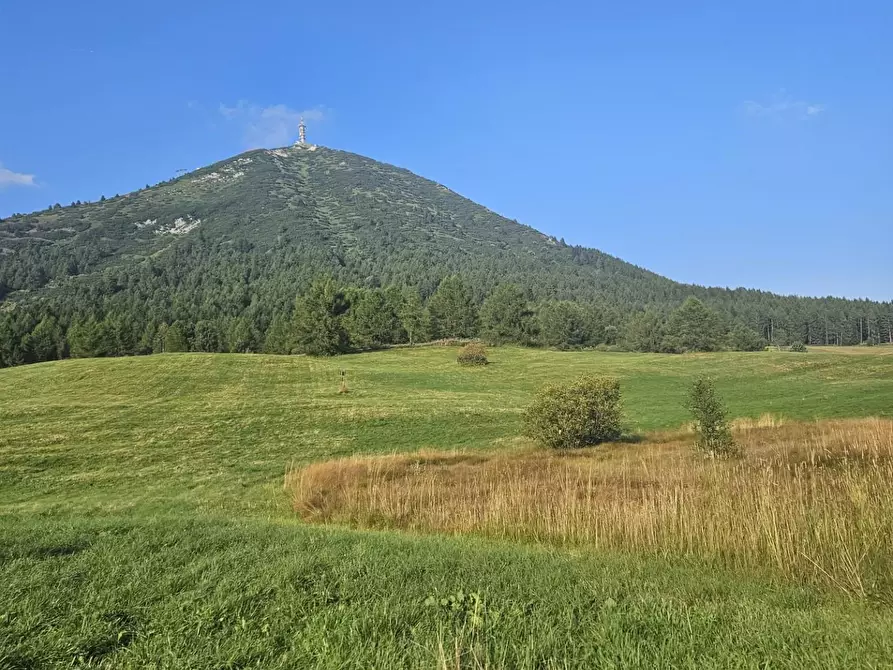 Immagine 8 di Terreno agricolo in vendita  a Carrara