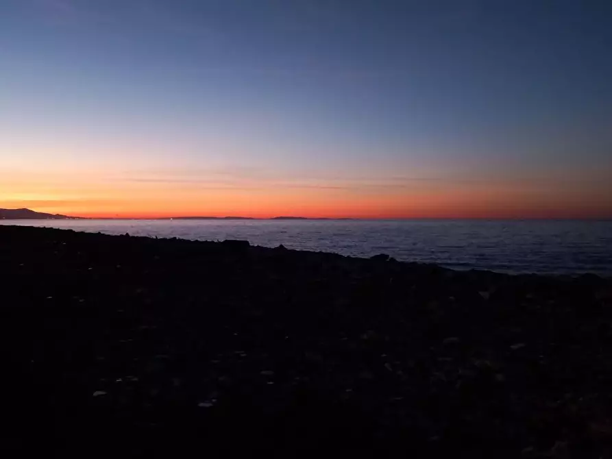 Immagine 5 di Terreno agricolo in vendita  a Carrara