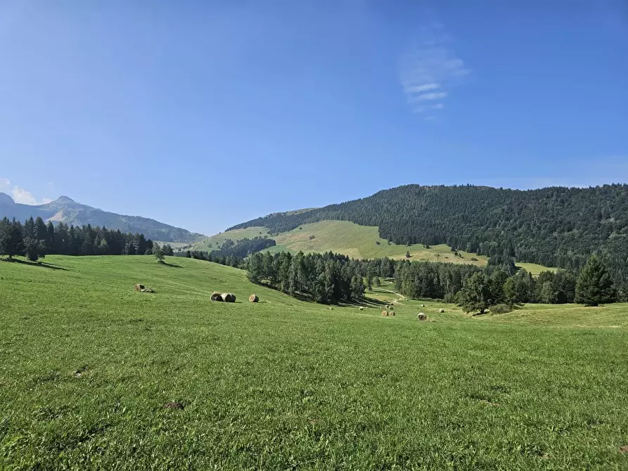 Immagine 6 di Terreno agricolo in vendita  a Carrara
