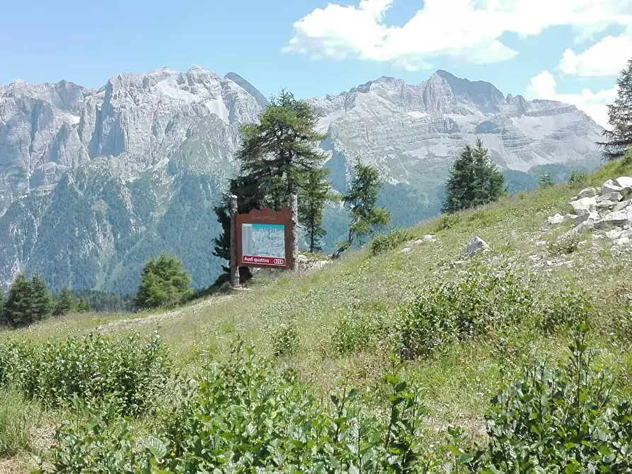 Immagine 14 di Terreno agricolo in vendita  a Carrara