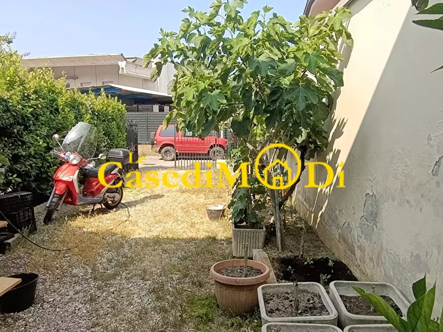 Immagine 1 di Capannone industriale in vendita  a Livorno