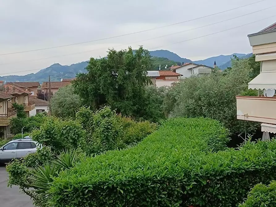 Immagine 3 di Appartamento in vendita  a Massa
