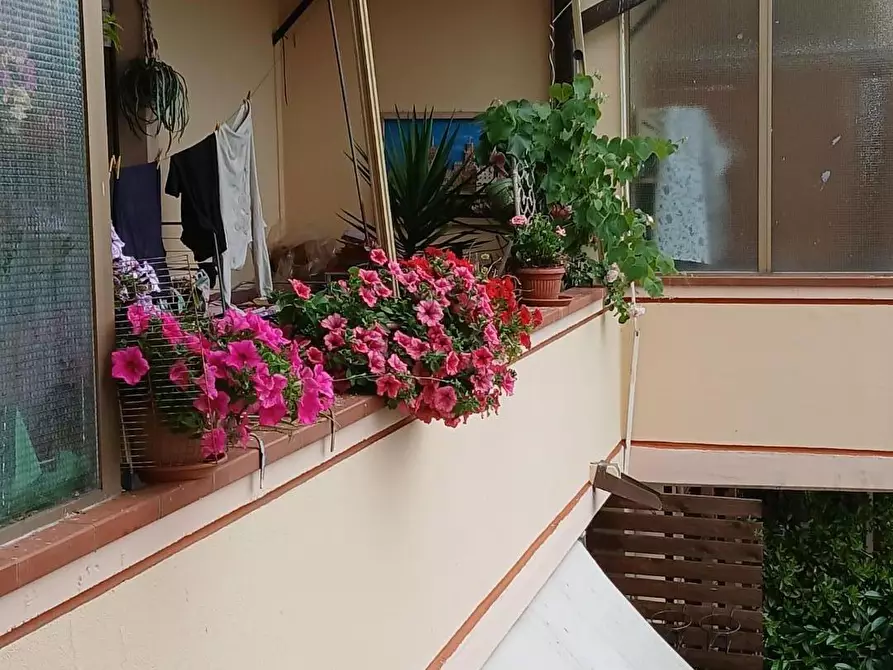 Immagine 1 di Appartamento in vendita  a Massa