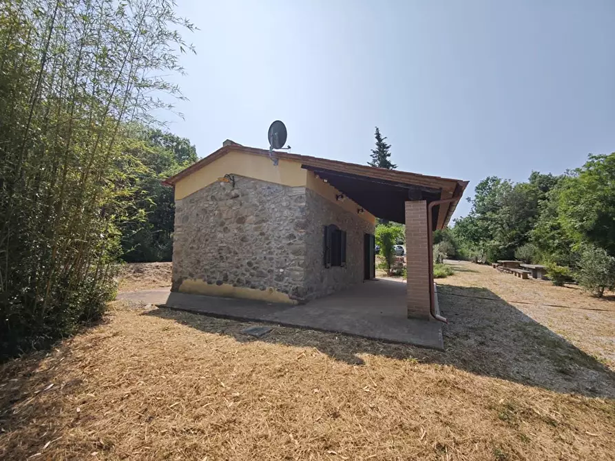 Immagine 16 di Villa in vendita  a Montecatini Val Di Cecina
