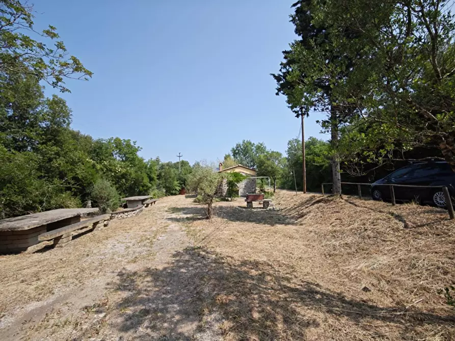 Immagine 13 di Villa in vendita  a Montecatini Val Di Cecina