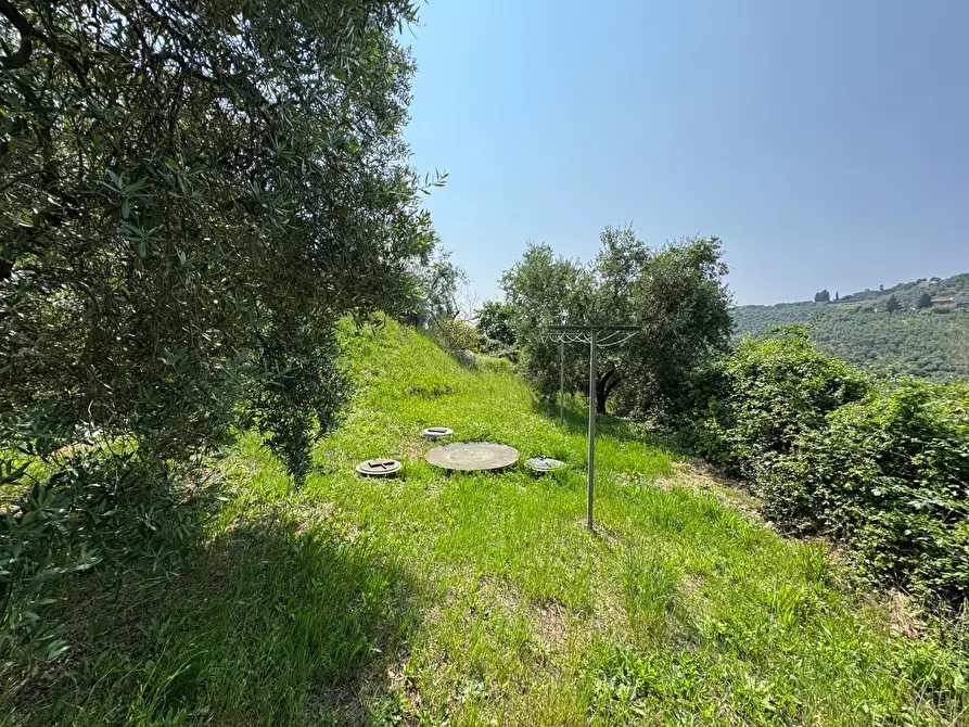 Immagine 50 di Casa colonica in vendita  a Vinci