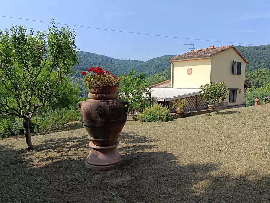 Immagine 58 di Casa colonica in vendita  a Vinci