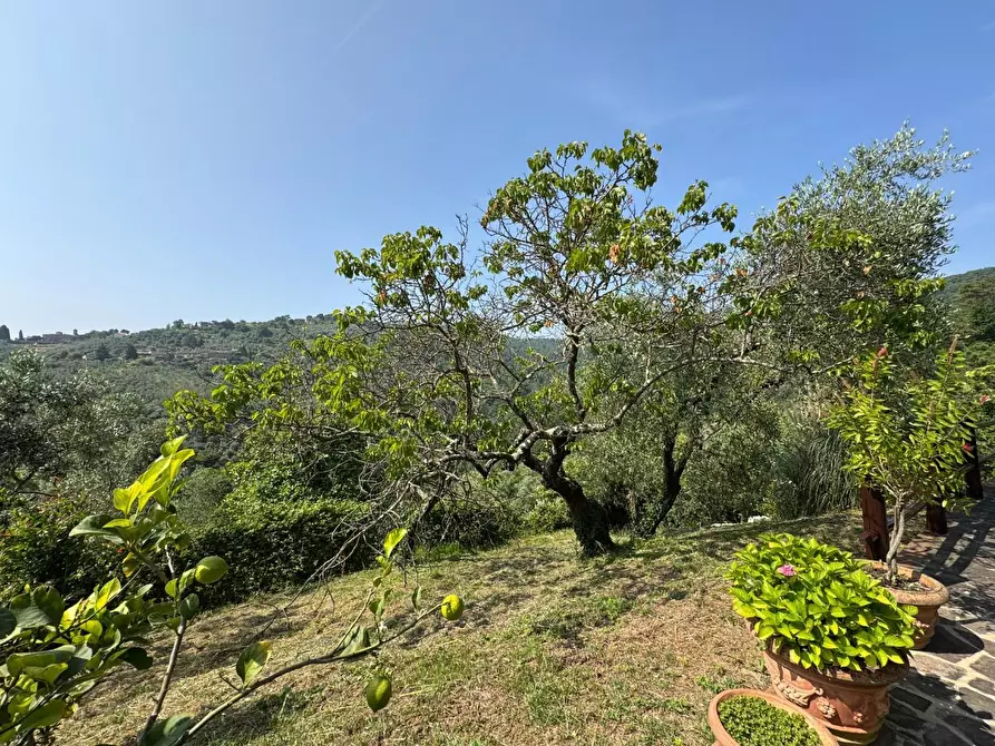 Immagine 56 di Casa colonica in vendita  a Vinci