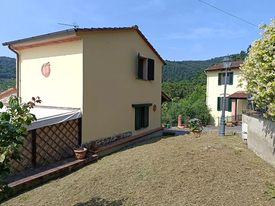 Immagine 44 di Casa colonica in vendita  a Vinci