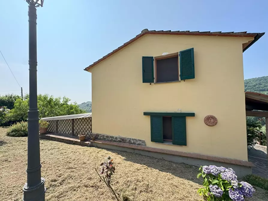 Immagine 45 di Casa colonica in vendita  a Vinci
