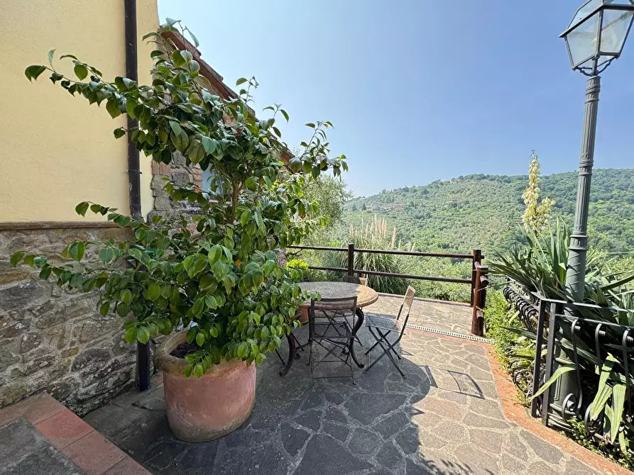 Immagine 52 di Casa colonica in vendita  a Vinci