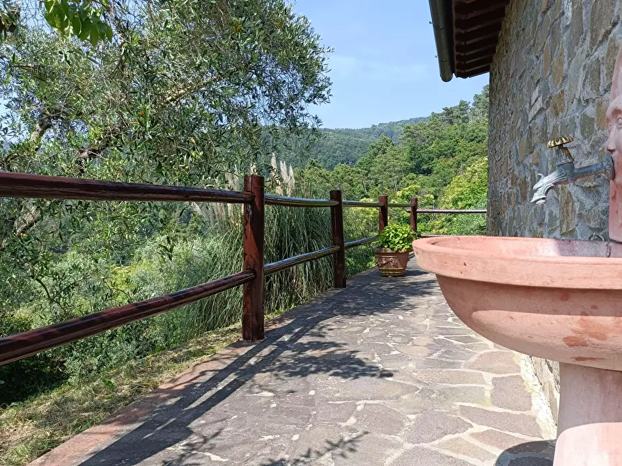 Immagine 57 di Casa colonica in vendita  a Vinci