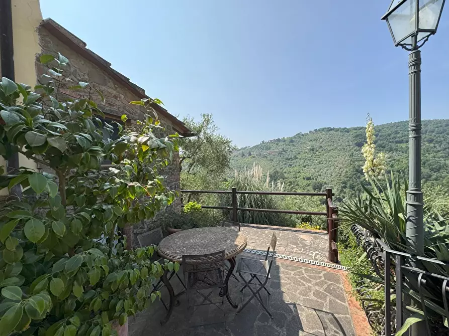 Immagine 49 di Casa colonica in vendita  a Vinci