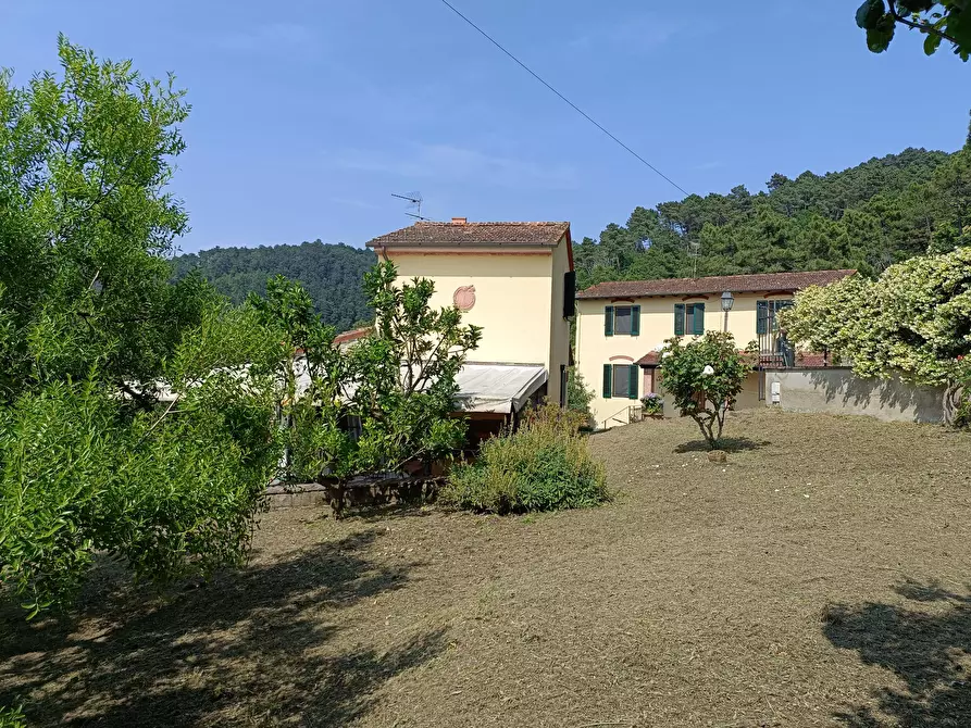 Immagine 46 di Casa colonica in vendita  a Vinci