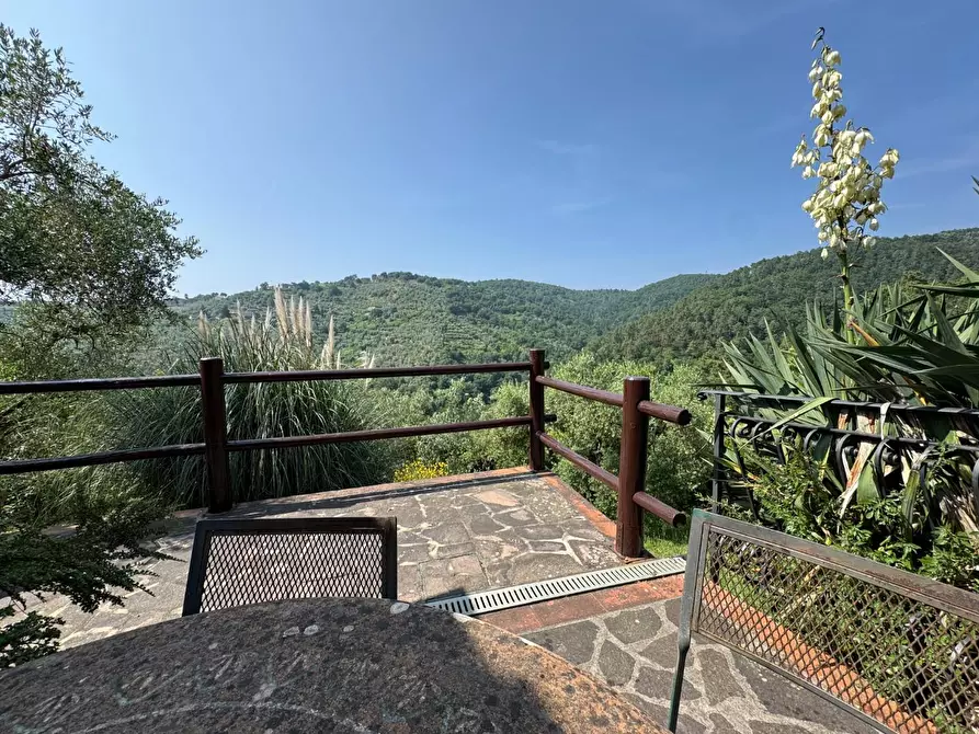 Immagine 54 di Casa colonica in vendita  a Vinci