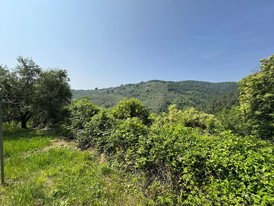 Immagine 51 di Casa colonica in vendita  a Vinci