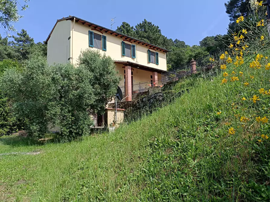 Immagine 2 di Casa colonica in vendita  a Vinci