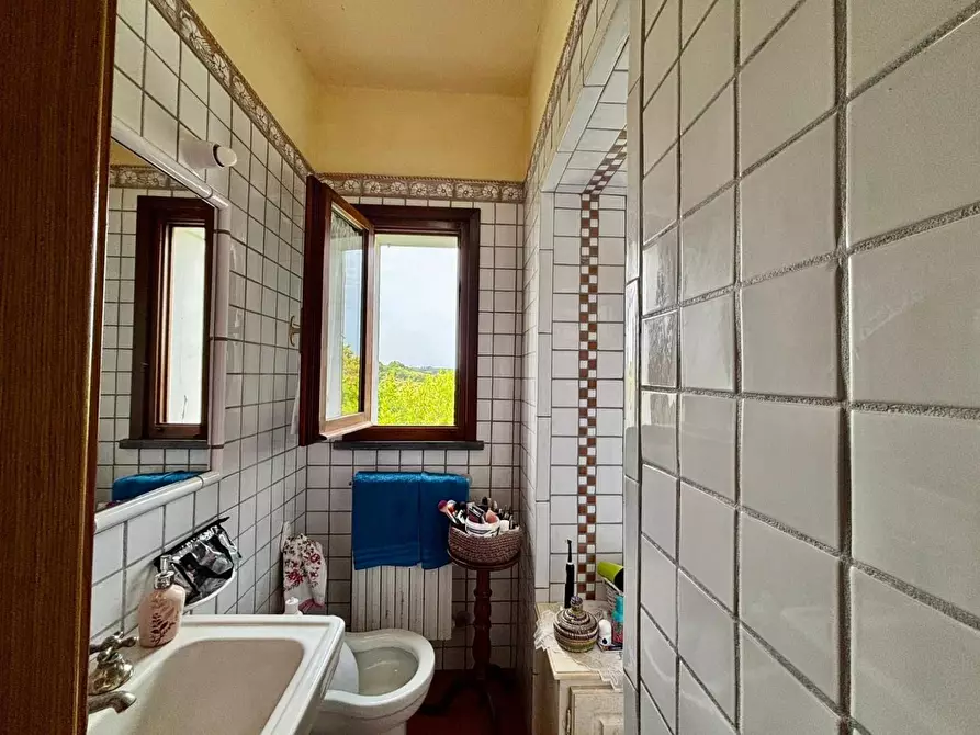 Immagine 21 di Terratetto in vendita  a Casciana Terme Lari