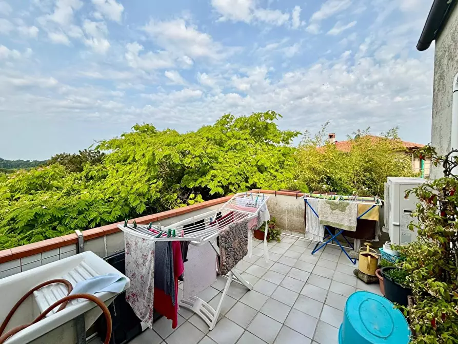 Immagine 25 di Terratetto in vendita  a Casciana Terme Lari