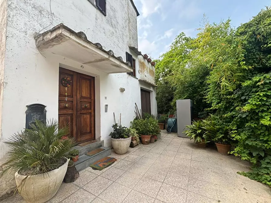 Immagine 24 di Terratetto in vendita  a Casciana Terme Lari