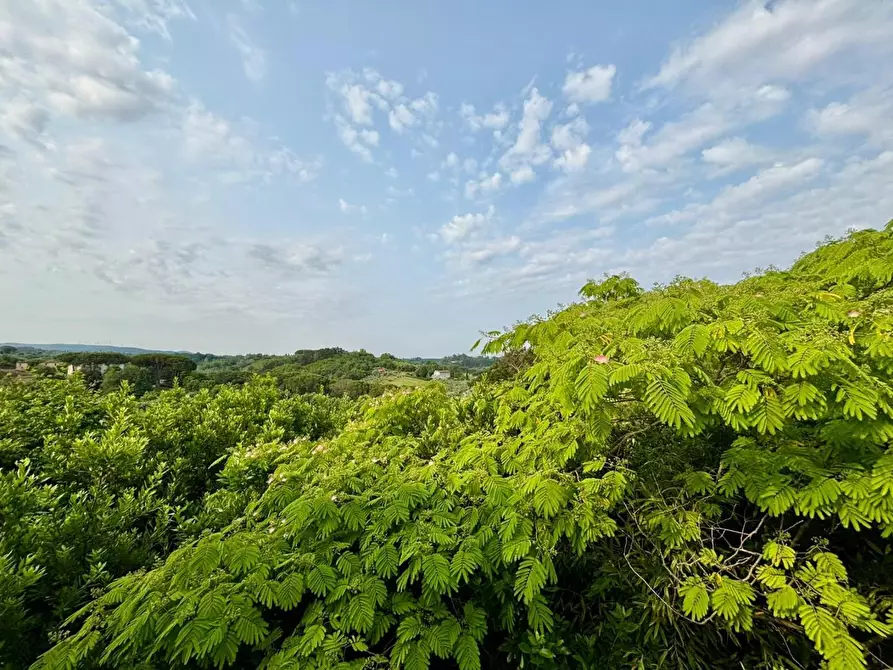 Immagine 27 di Terratetto in vendita  a Casciana Terme Lari