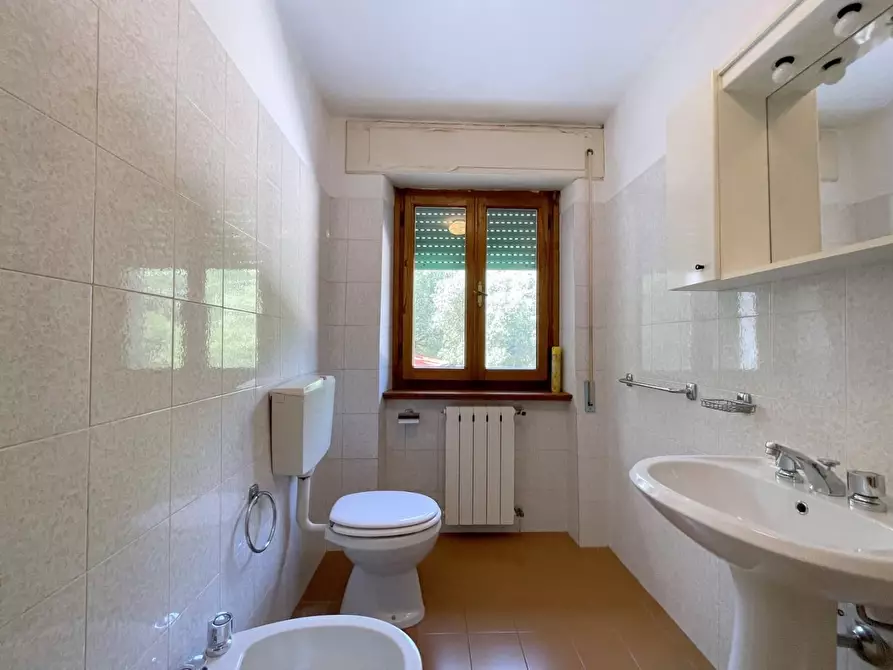 Immagine 34 di Terratetto in vendita  a Camaiore