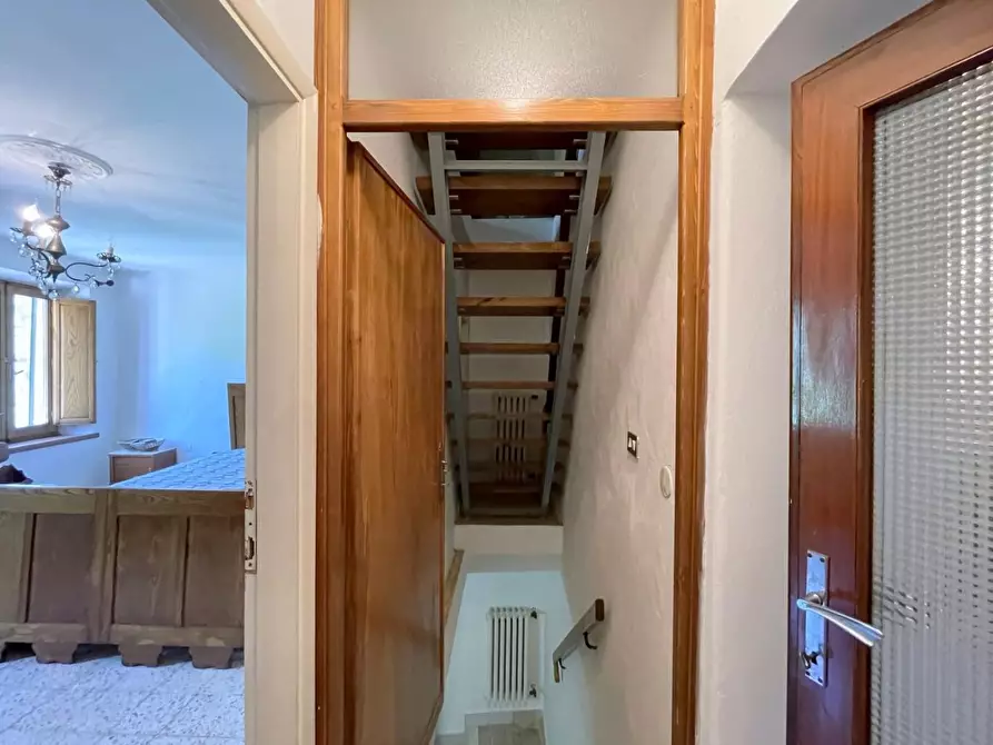 Immagine 15 di Terratetto in vendita  a Camaiore