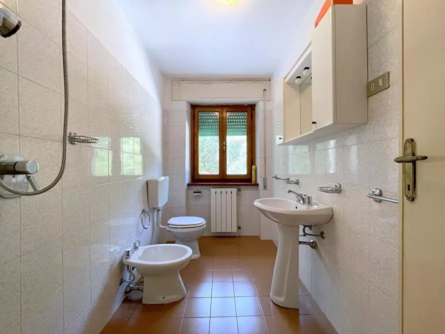 Immagine 33 di Terratetto in vendita  a Camaiore