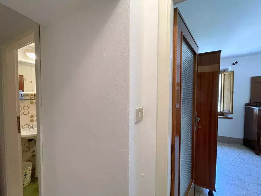 Immagine 12 di Terratetto in vendita  a Camaiore