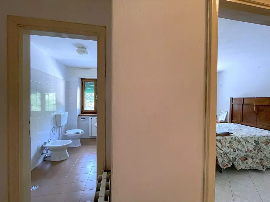 Immagine 32 di Terratetto in vendita  a Camaiore