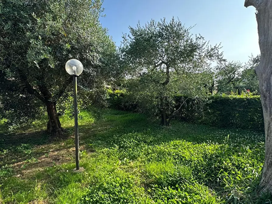 Immagine 5 di Casa semindipendente in vendita  a Capannori