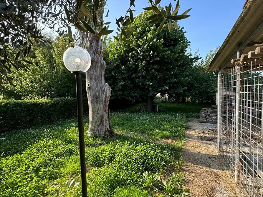 Immagine 18 di Casa semindipendente in vendita  a Capannori