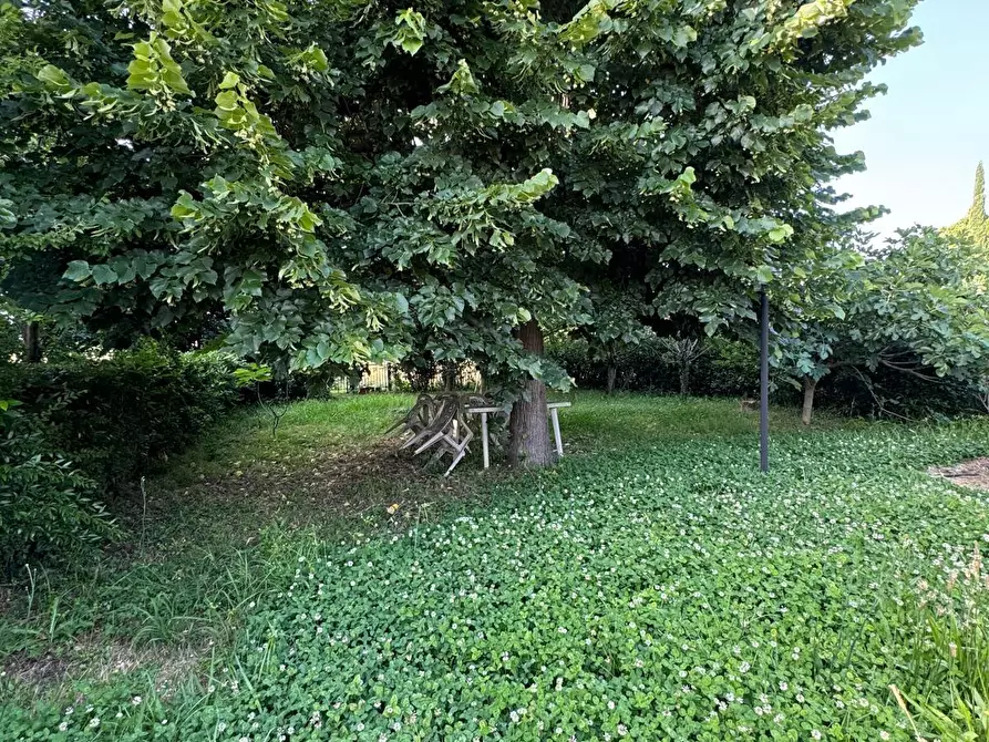Immagine 14 di Casa semindipendente in vendita  a Capannori