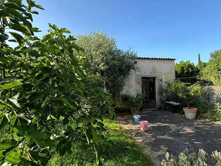 Immagine 17 di Casa semindipendente in vendita  a Capannori