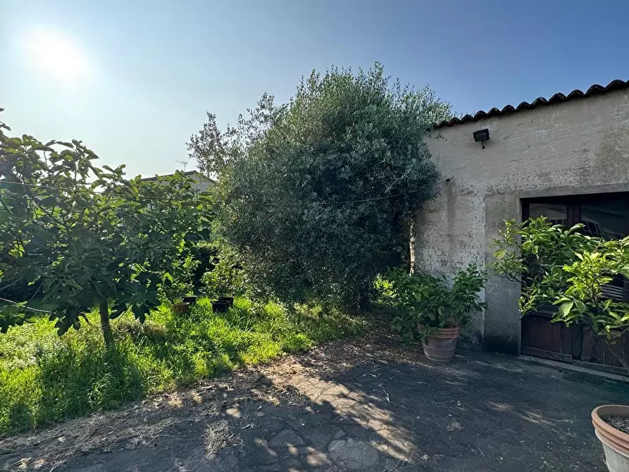 Immagine 23 di Casa semindipendente in vendita  a Capannori